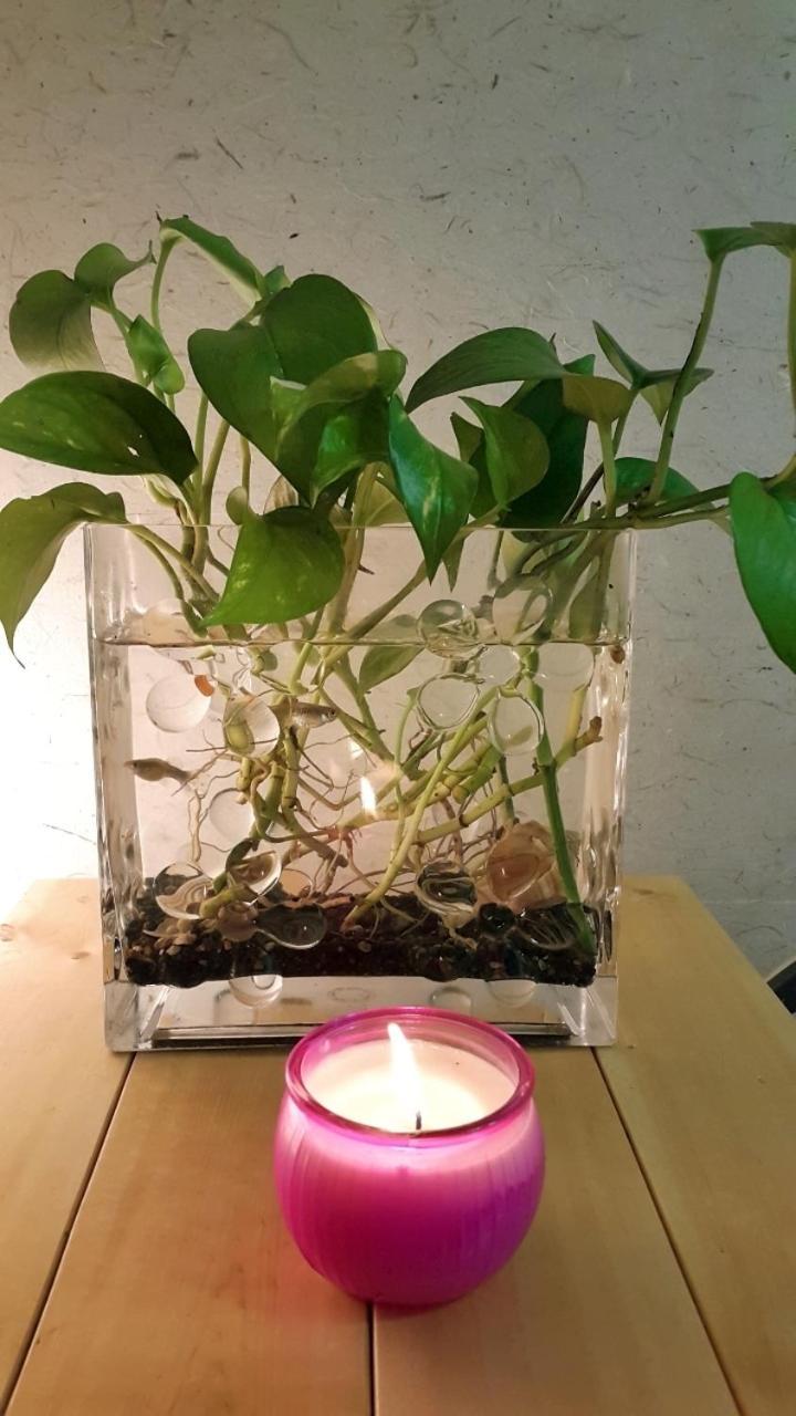 סיאול Lydia Craft Guesthouse מראה חיצוני תמונה