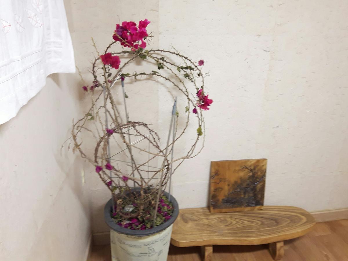 סיאול Lydia Craft Guesthouse מראה חיצוני תמונה